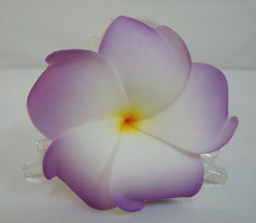 טופר שיער פרחי פרח הוואי פלומריה בהוואי בחר צבע