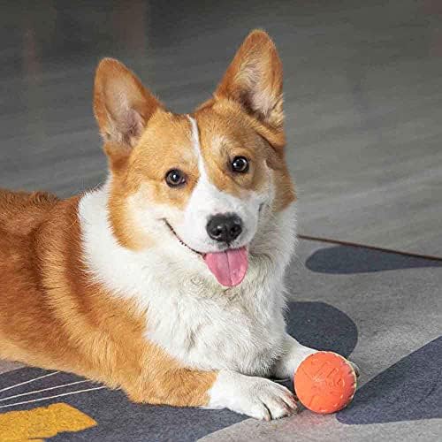 צעצועי כדור כלבים של Petsla לכלבים של עד 35 קג צעצוע של כדור כלבים 2.5 אינץ